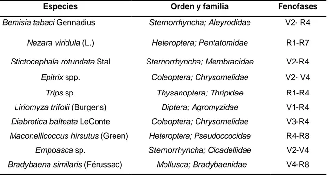 Tabla 3. Inventario de las especies fitófagas asociadas a la soya según fases fenológicas  