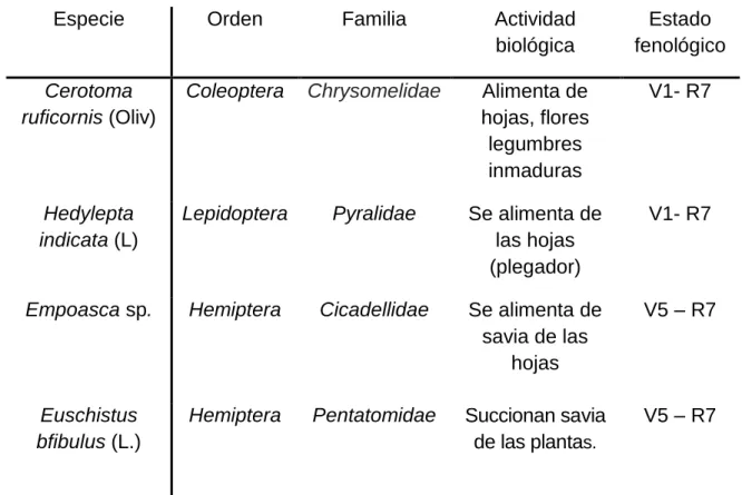 Tabla 2.  Fitófagos claves de la soya 