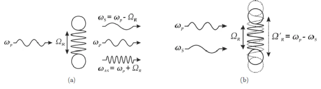 Fig. 1.3: Ilustración del proceso de Scattering Raman Estimulado; a) Generador Raman, b) Amplificador Raman 
