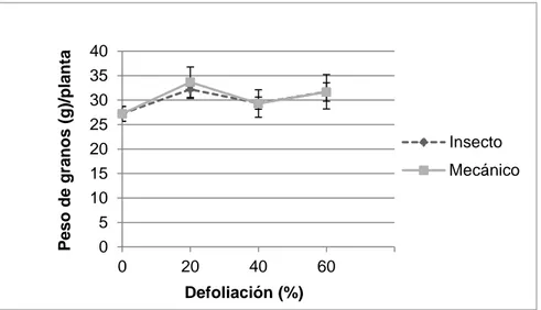Figura  1.  Rendimiento  de  granos  de  quínoa  (gramos/planta)  en  plantas  sometidas  a  niveles de defoliación de 20, 40, y 60%, ya sea con larvas del lepidóptero Trichoplusia  ni  o  en  forma  mecánica  (p  =  0,576)