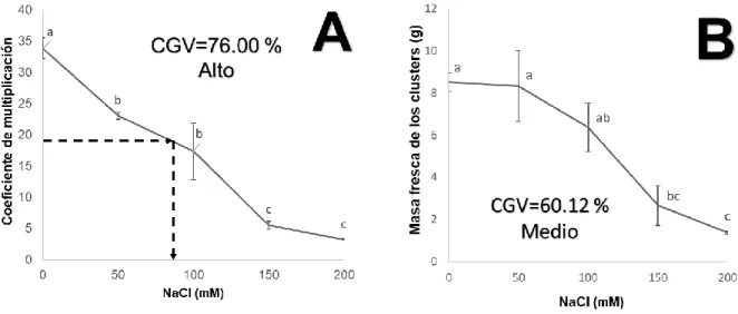 Figura 2. Efecto del cloruro de sodio en  el coeficiente de multiplicación de los brotes  A  y en la  masa fresca de los clusters B de la caña de azúcar durante la micropropagación en biorreactores  de inmersión temporal