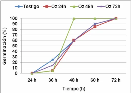 Figura 2. Efecto del ozono en la germinación de la variedad BAT-304  En la variedad Guamá-23 ninguno de los tratamientos alcanzó el 100% de  germinación de las semillas