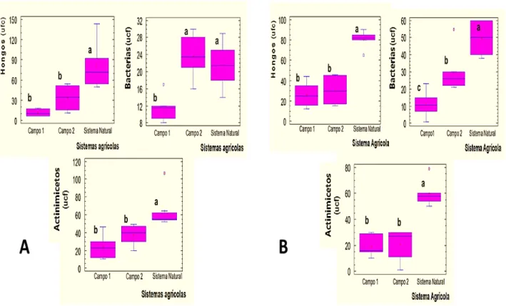 Figura 1. Poblaciones microbianas en los ecosistemas estudiados