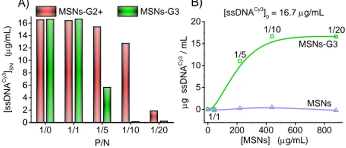 Figure 8. Images of MSNs-G3 after ssDNA Cy3 adsorption (P/N molar ratio 1/10), scale bar is 100 nm