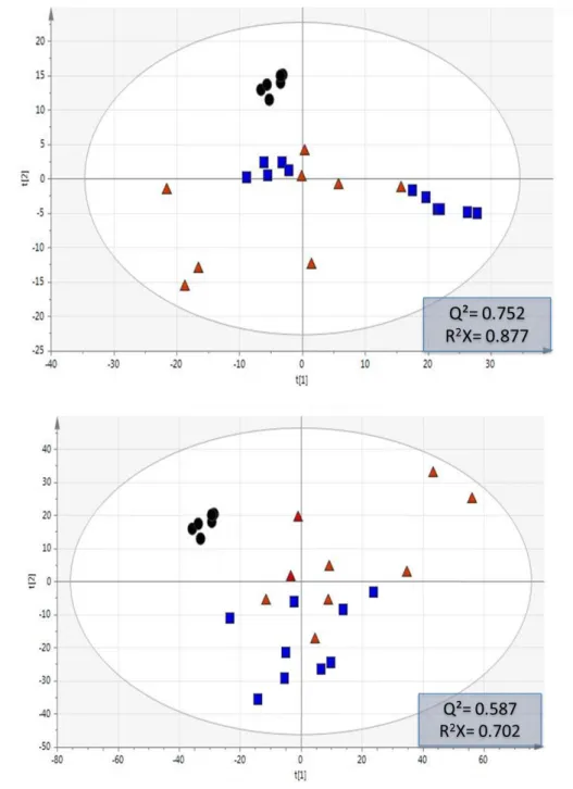 Figure 1.  PCA score plot obtained in positive (A) and negative (B) ionization mode data from saffron  metabolic profiles obtained for authentic samples,  samples suspected of adulteration, and QC samples