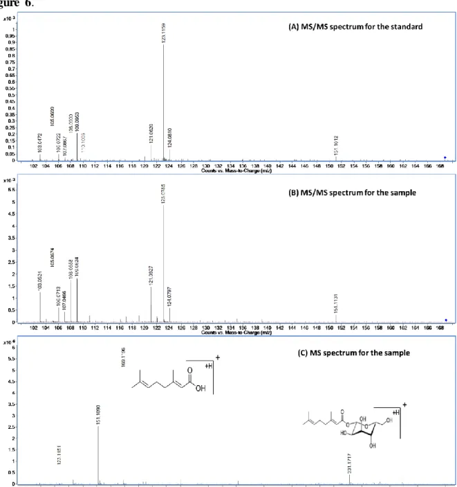 Figure  6.  MS/MS  spectra in  ESI+  of  the  precursor  ion  with  m/z  169.1  for  geranic  acid  standard eluted at 15.8  min  (A)  and  for  a  compound  of  a  saffron  sample  eluted  at  6.4  min  (B)