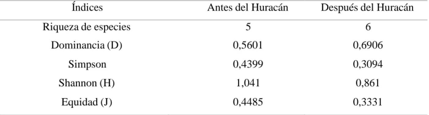 Tabla  I:  Índices  de  diversidad  del  ensamblaje  de  Anolis  antes  y  después  del  paso  del  huracán  Irma, en el Bosque Semideciduo, Cayo Coco, archipiélago de Sabana- Camagüey, Cuba