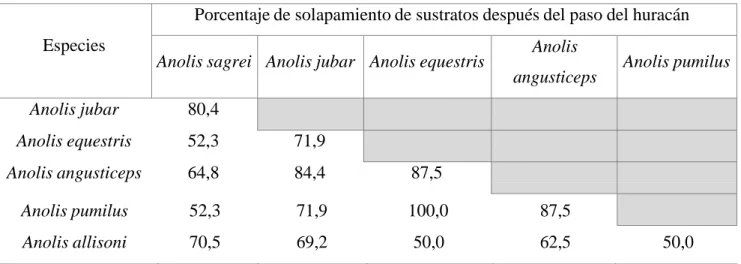 Tabla VII:  Índice de solapamiento de  nicho en por ciento en  los  sustratos después del  paso del  huracán, en Bosque Semideciduo, Cayo Coco, archipiélago de Sabana- Camagüey, Cuba