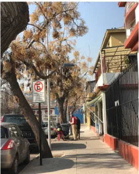 Fig. 20  Vecinos reunidos fuera del umbral de  la panadería, calle Martínez de Rozas sur