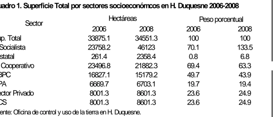Cuadro 1. Superficie Total por sectores socioeconómcos en H. Duquesne 2006-2008