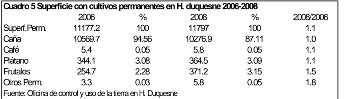 Cuadro 5 Superficie con cultivos permanentes en H. duquesne 2006-2008