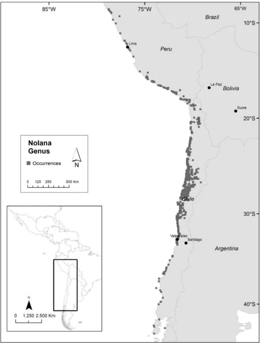 Fig. 1. Study area with all ocurrences included for the Nolana genus. 