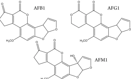 Fig. II.2. Scheme of structures of AFB1, AFG1, and AFM1.  Between  the  more  important  disorders,  aflatoxins  can  attack  to  liver,  kidney,  nervous  system,  endocrine,  and  immune  systems 25 