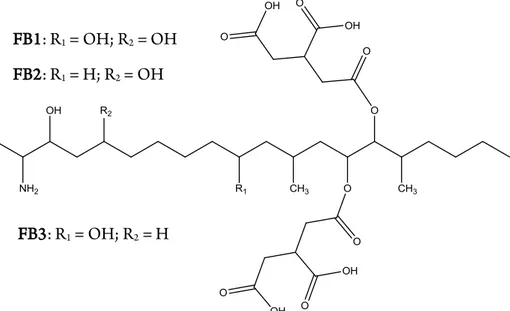 Fig. II.4. Scheme of the chemical structure of FB1, FB2, and FB3.  Ochratoxins  are  another  important  group  of  mycotoxins