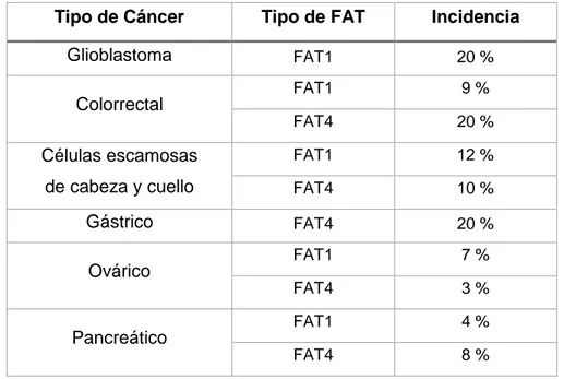 Tabla 3: Incidencia de mutaciones y deleciones informadas en distintos  tipos de cáncer humano [11-13]