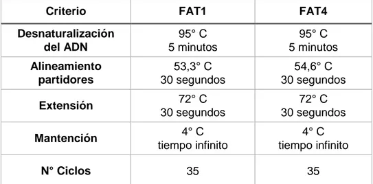 Tabla 10 :  Condiciones utilizadas en las reacciones de PCR 