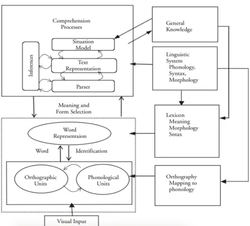 Figure 1. The components of reading comprehension, from identifying words to comprehending texts