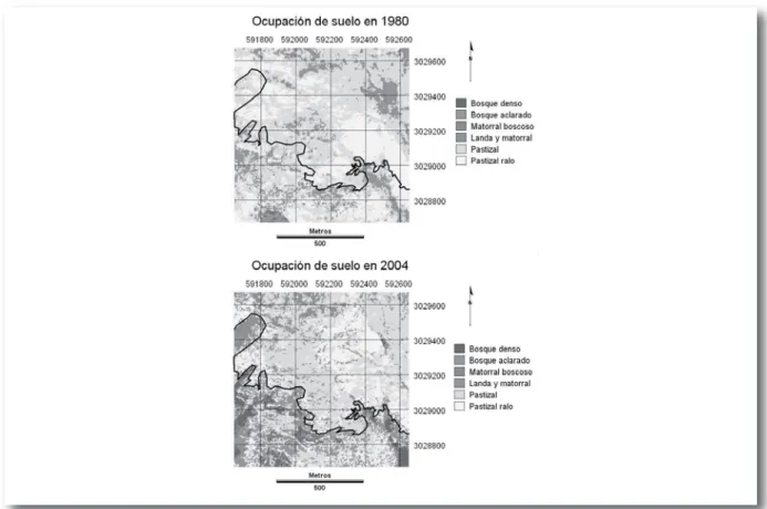 Figura 11.- Ocupación del suelo en 1980 y 2004. El límite en negro separa la zona afectada aún por el fuego dirigido (al norte) de la parte sur (no afectada desde 1980).