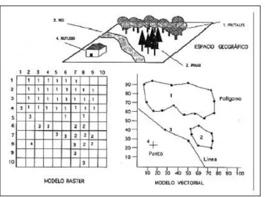 Figura 3 : Model raster