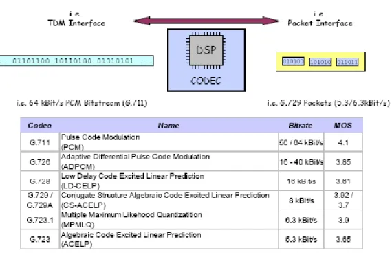 Figura 5: Tipos de codec. 