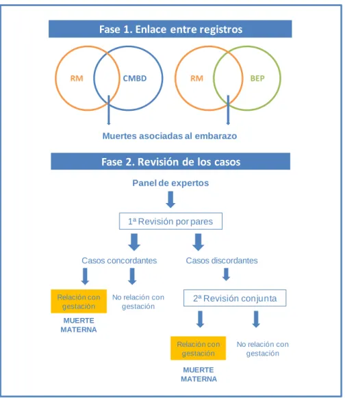 Figura 5: Proceso de identificación de las muertes maternas 