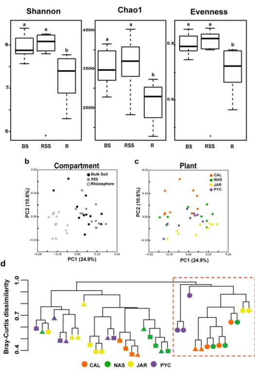 Figure 2.  Structure and taxonomic composition of bacterial communities in the three soil compartments