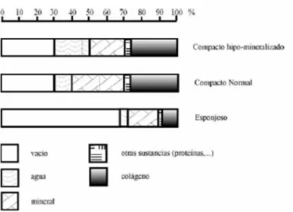 Figura  1: Composición volumétrica de tres tipos de hueso. Valores aproximados (Martin, 1984)