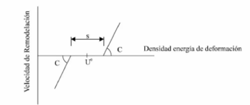 Figura 11: Respuesta no lineal adaptativa del hueso en función del estímulo energía de deformación