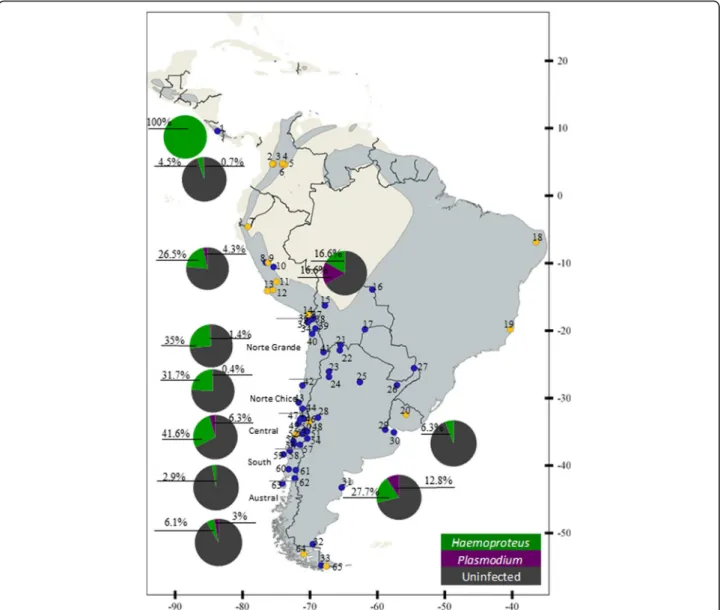 Fig. 1 Map of sampling localities and prevalence according to sampling area. Map of South America indicating sampled geographical locations (blue dots) and of other studies (yellow dots); numbers close to dots represent the number of the sample site (Addit
