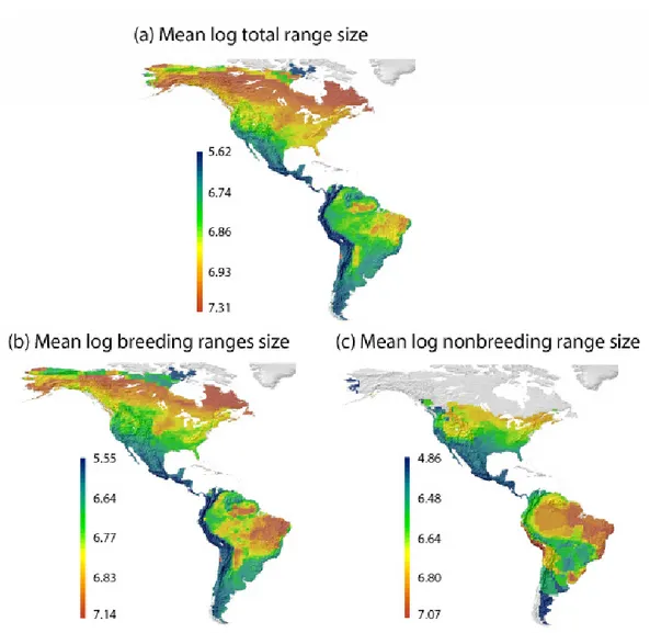 Fig. 2. Mean range sizes of (a) breeding and non-breeding ranges combined, (2) breeding  ranges only, and (3) non-breeding ranges of migratory species only