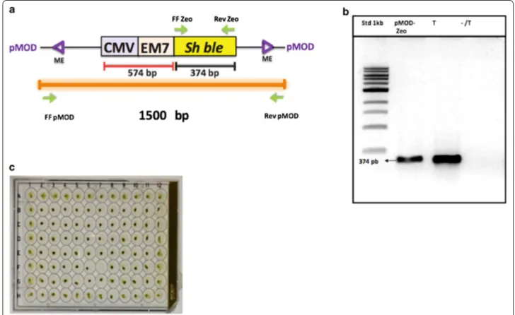 Fig. 1  Transformation of Nannochloropsis oceanica using Tn5 transposome. a The CMV promoter allows expression of the Zeocin resistance gene  in mammalian cells