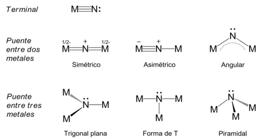 Figura 1.1. Algunas de las posibilidades de coordinación del ligando nitruro. 