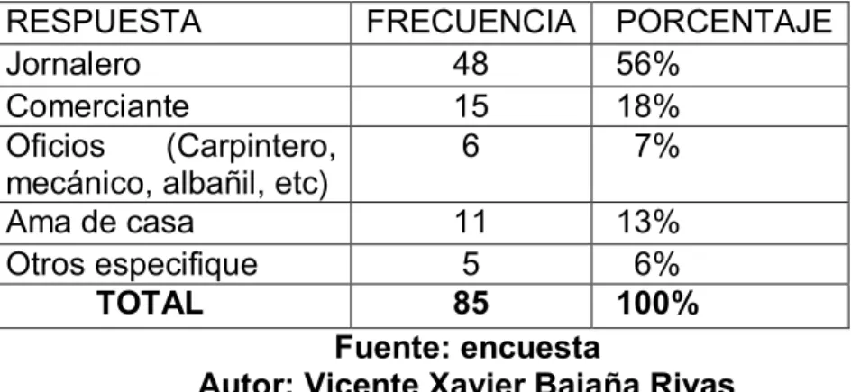 Gráfico  2. Actividad u ocupación 