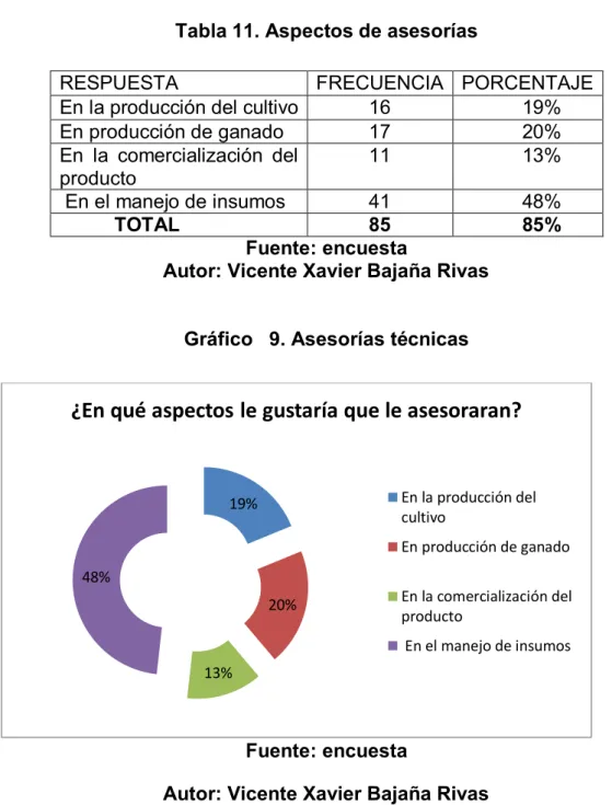 Tabla 11. Aspectos de asesorías 