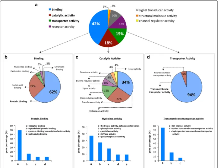 Fig. 5  Gene ontology (GO) analysis of the DEGs. Pie charts represent the enriched GO: term associated to DEGs