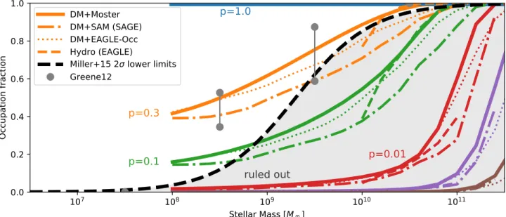 Figure 3. Black hole occupation in the local universe as a function of stellar mass. Differently colored model curves correspond to different seeding probabilities p.