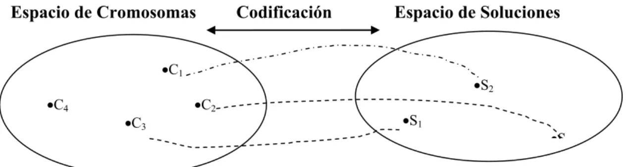 Figura  2.16:  Representación  de  un  Cromosoma:  Cada  cromosoma  codifica  una  posible  solución al problema.