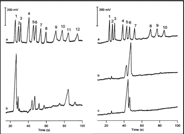 Figura  14.  Separaciones  electroforéticas  empleando  detección  conductimétrica  sin  contacto.  Izquierda: Determinación de aniones inorgánicos y orgánicos en cerveza. (a) Disolución de patrones,  picos: 1, Cl ‐ ; 2, SO 4 ‐2 ; 3, oxalato; 4, formato; 5