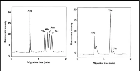 Figura  15.  Electroforegramas  obtenidos  para  una  mezcla  de  aminoácidos  (izquierda)  y  un  extracto de té verde japonés (derecha) empleando LIF [120]. 