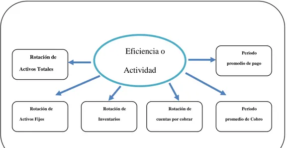 Figura 2 Eficiencia o Actividad 