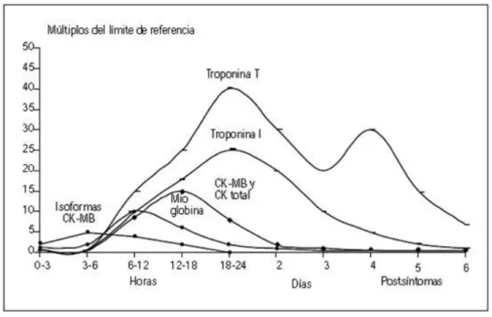 Figura 9. Evolución temporal en horas y días de los biomarcadores cardiacos