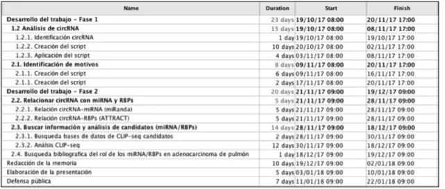 Figura 1. Planificación del proyecto 