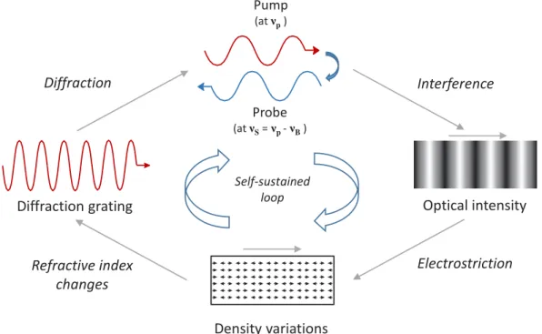 Figure 2.9: Illustration of the stimulated Brillouin scattering (SBS) process for a Stokes wave