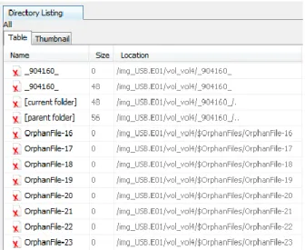 Tabla 14: Hallazgos delictivos USB 