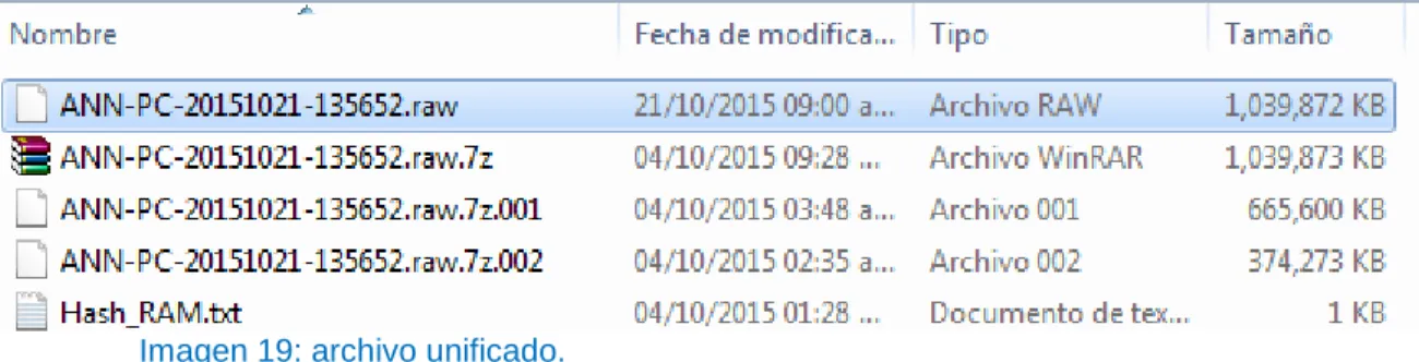 Tabla 19: verificación hash de archivos de memoria RAM. 