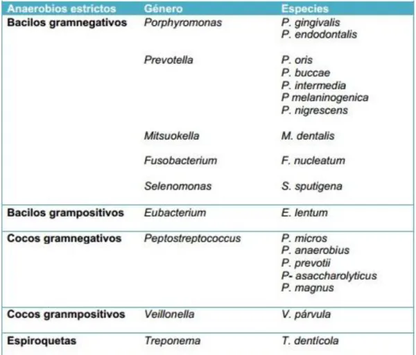 Tabla 2. Bacterias anaerobias estrictas aisladas frecuentemente en pulpas  necróticas