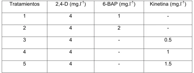 Tabla 3. Combinaciones del 2,4-D con citoquininas (6-BAP y Kinetina) utilizadas para  obtener callos a partir de ápices de plantas in vitro del híbrido de papaya IBP 42-99