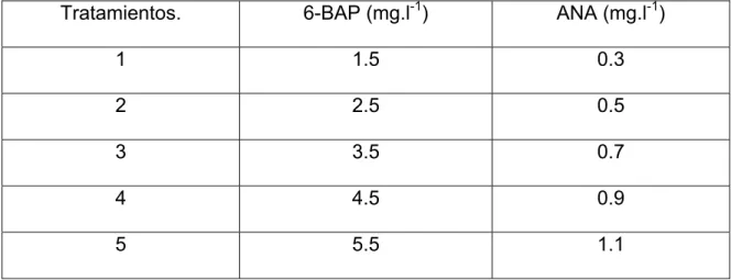 Tabla 4. Diferentes combinaciones de 6-BAP y ANA para la formación de callos a  partir de ápices de plantas in vitro  del híbrido de papaya IBP 42-99