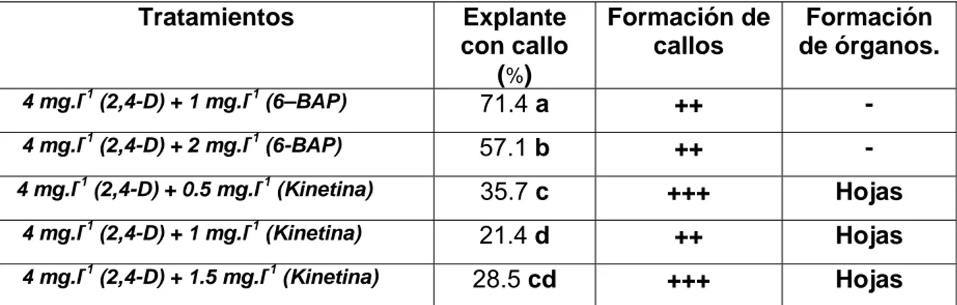Tabla 7. Efecto del 2,4-D combinado con 6-BAP y Kinetina en la formación de callos  con estructuras embriogénicas en ápices del híbrido de papaya IBP 42-99