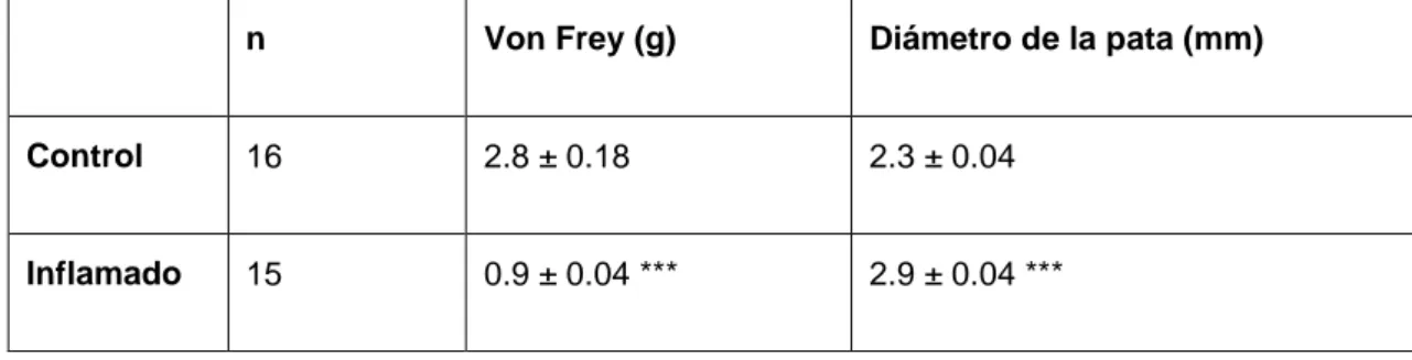 Tabla 5: Valores medios en la respuesta a filamentos de Von Frey y de la medida de diámetro de la pata,  en  animales  control  comparando  con  animales  a  los  que  se  había  inyectado  carragenina  intraplantar  (Test-t no pareado p&lt;0,0001)